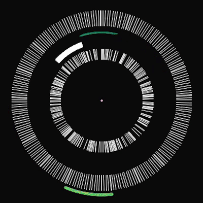 ezgif.com-video-to-gif (1)